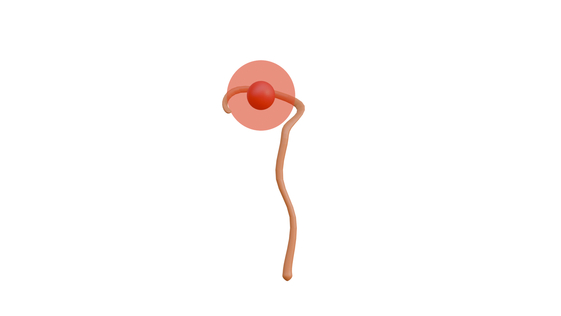 3D model of Maguso's staff